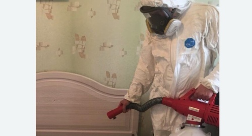Уничтожение клещей в квартире. Лесосибирск